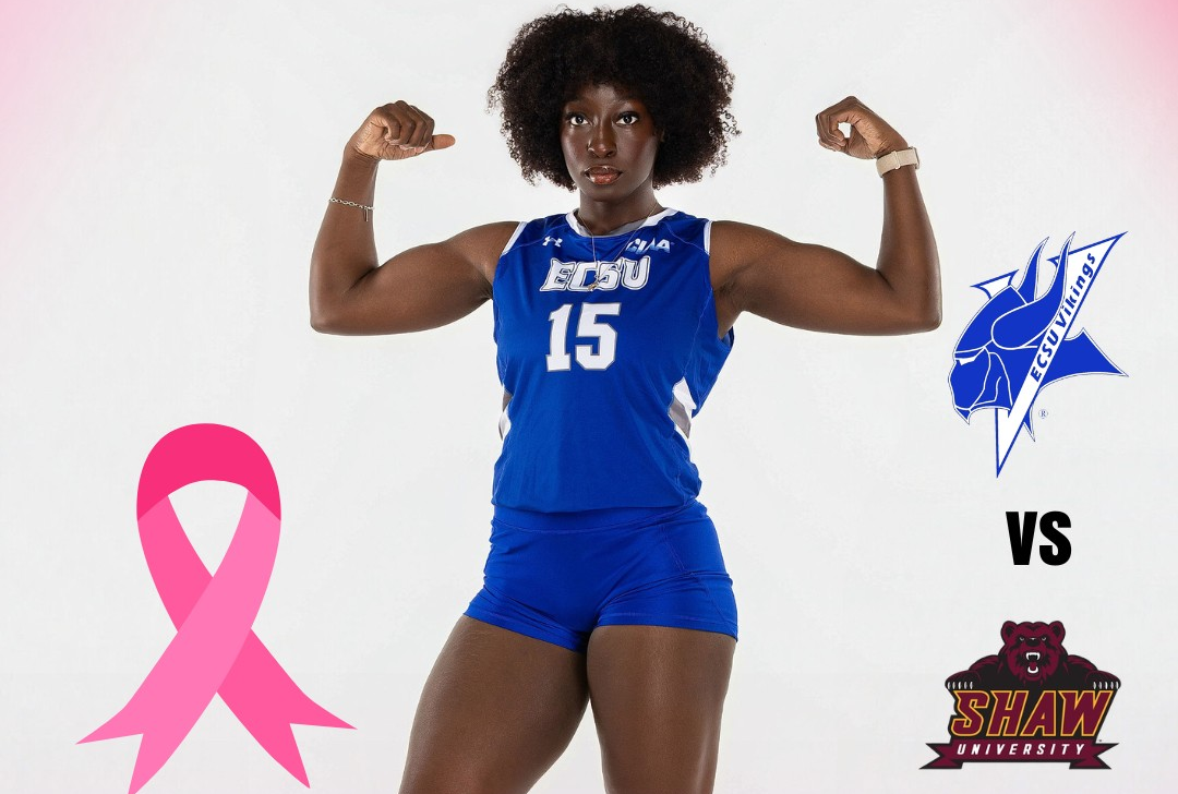 Feature image for ECSU volleyball Dig Pink Game.